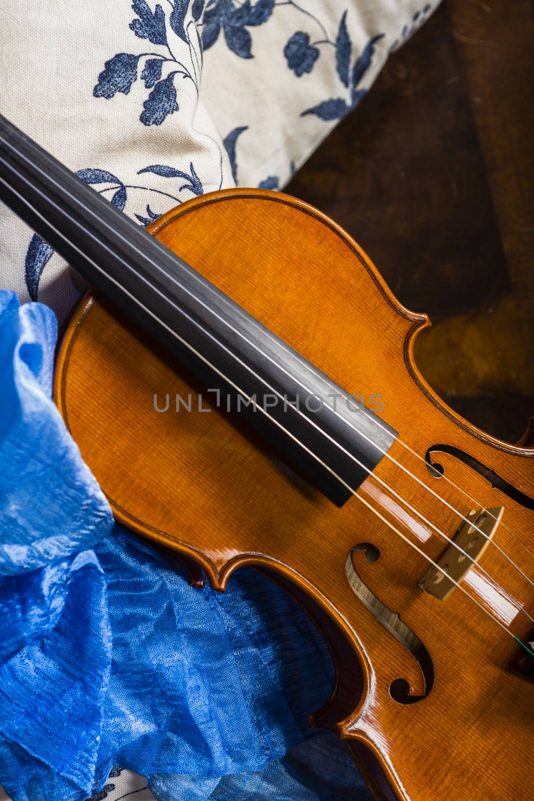 Violin in a still life composition