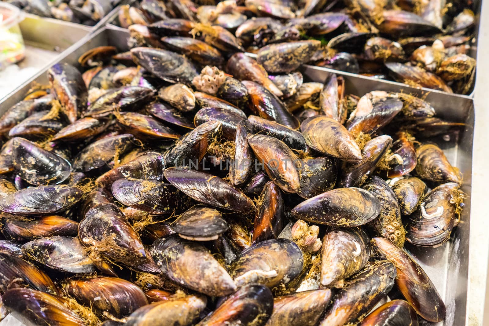 Fresh delicious mussels sold at the mercado de la boqueria, Barcelona,Spain.