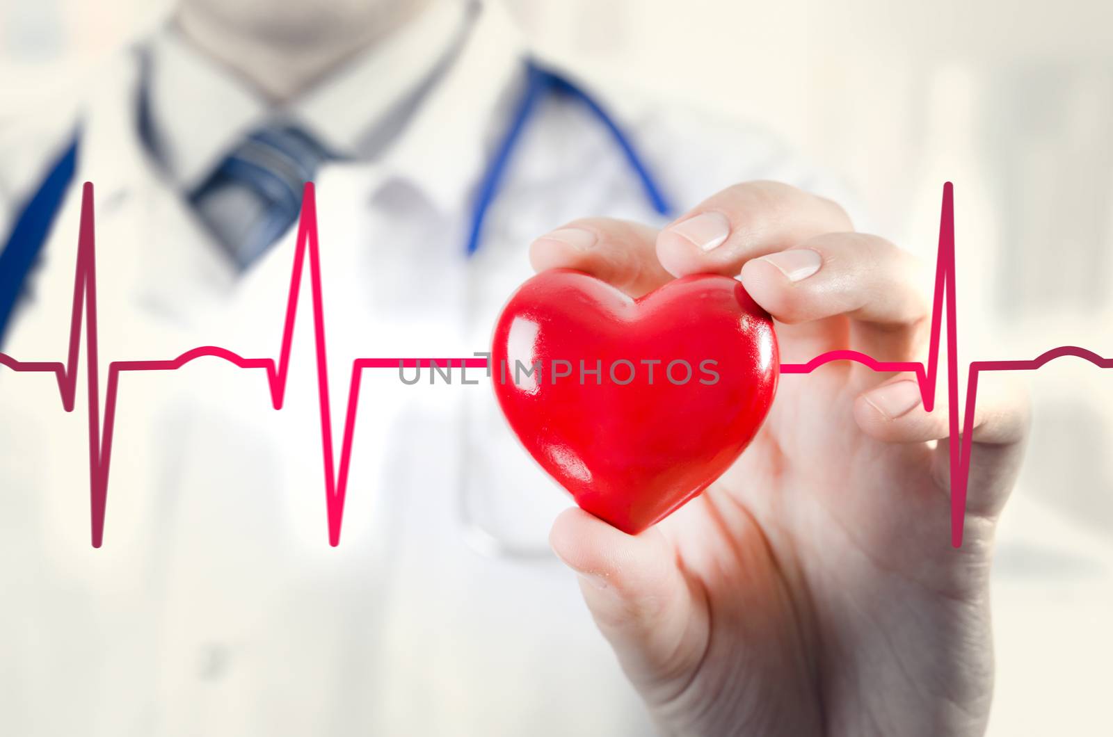 Cardiologist holding heart 3D model. Concept with cardiogram by simpson33