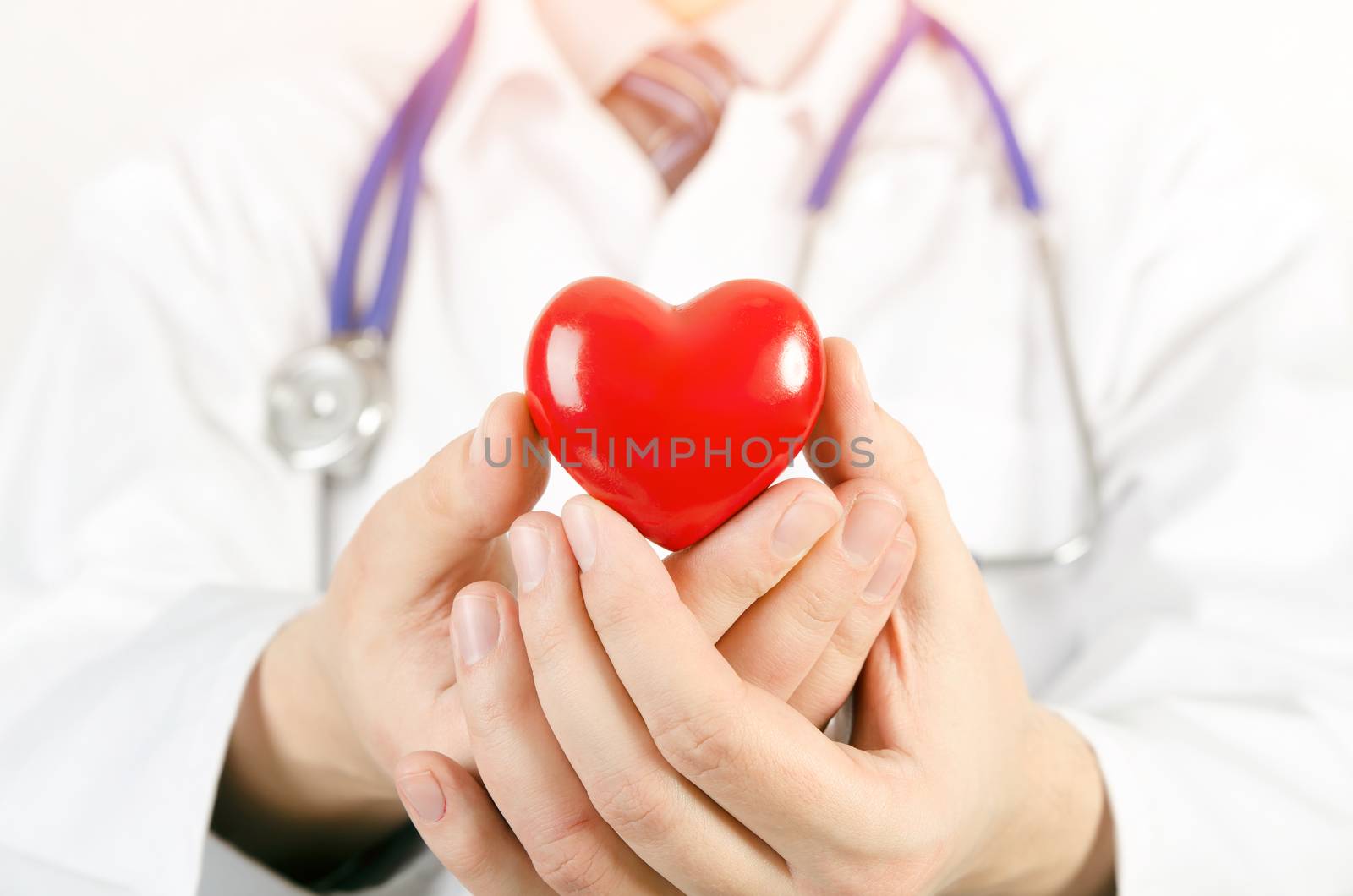 Cardiologist holding heart 3D model by simpson33