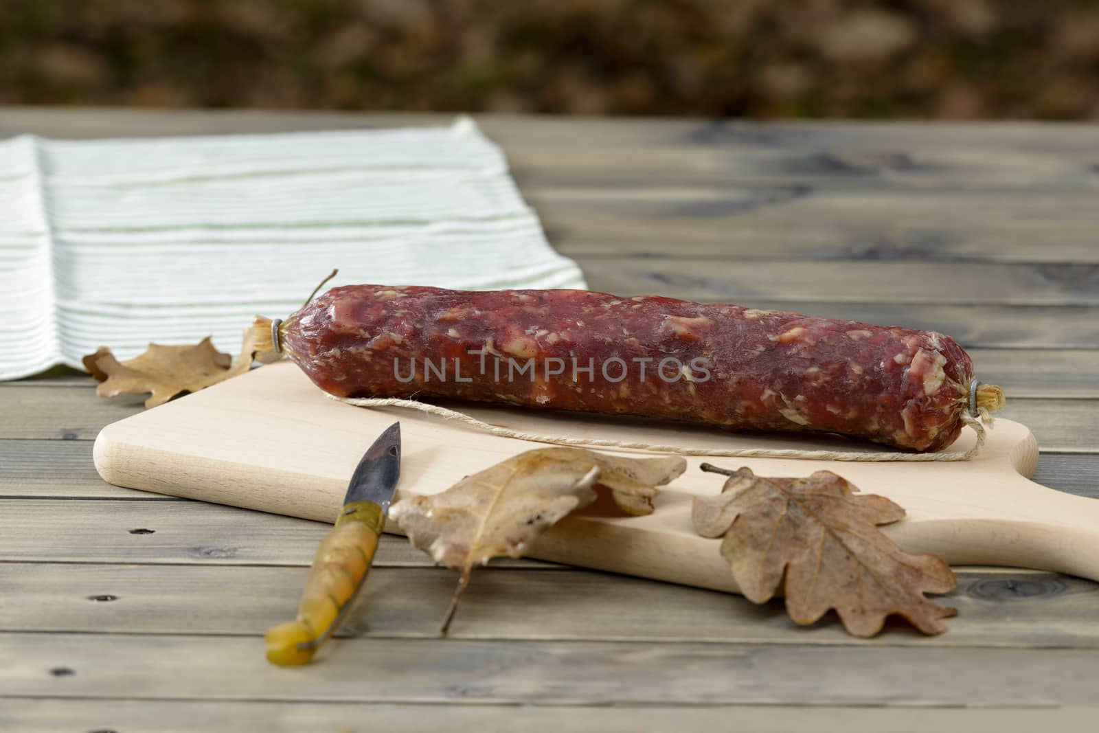 Sausage on the table in the wood of Sardinia with a typical knife.