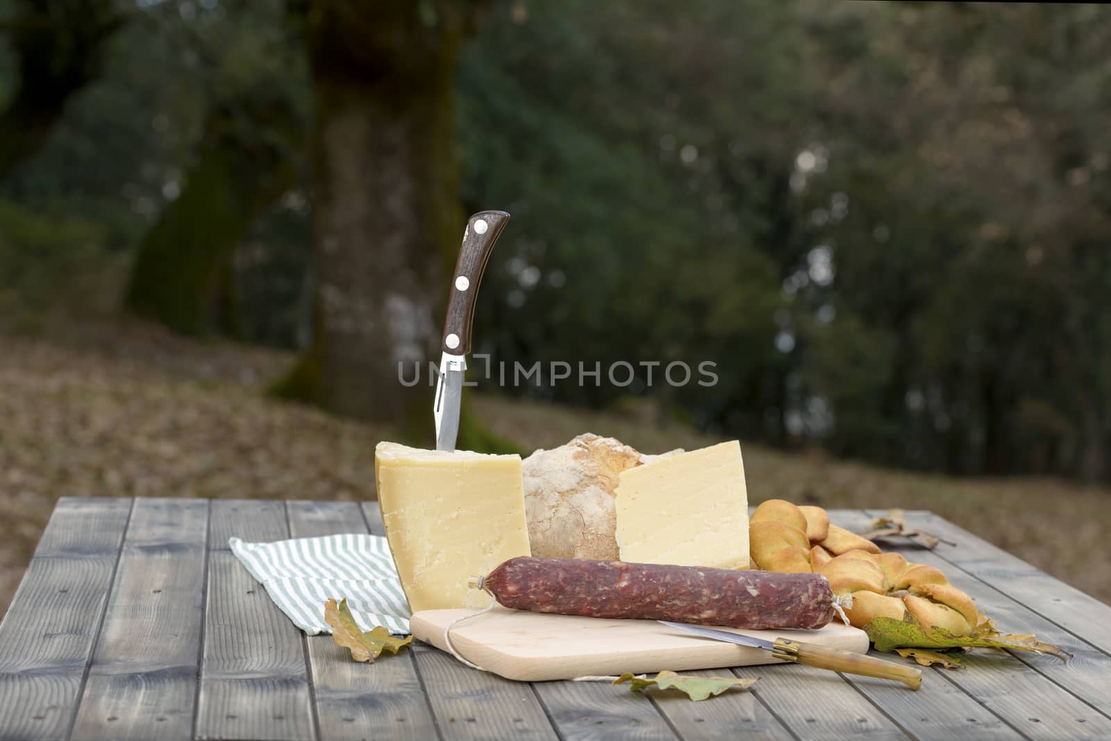 Traditional dinner of Sardinia made of cheese, sausage, bread and wine.