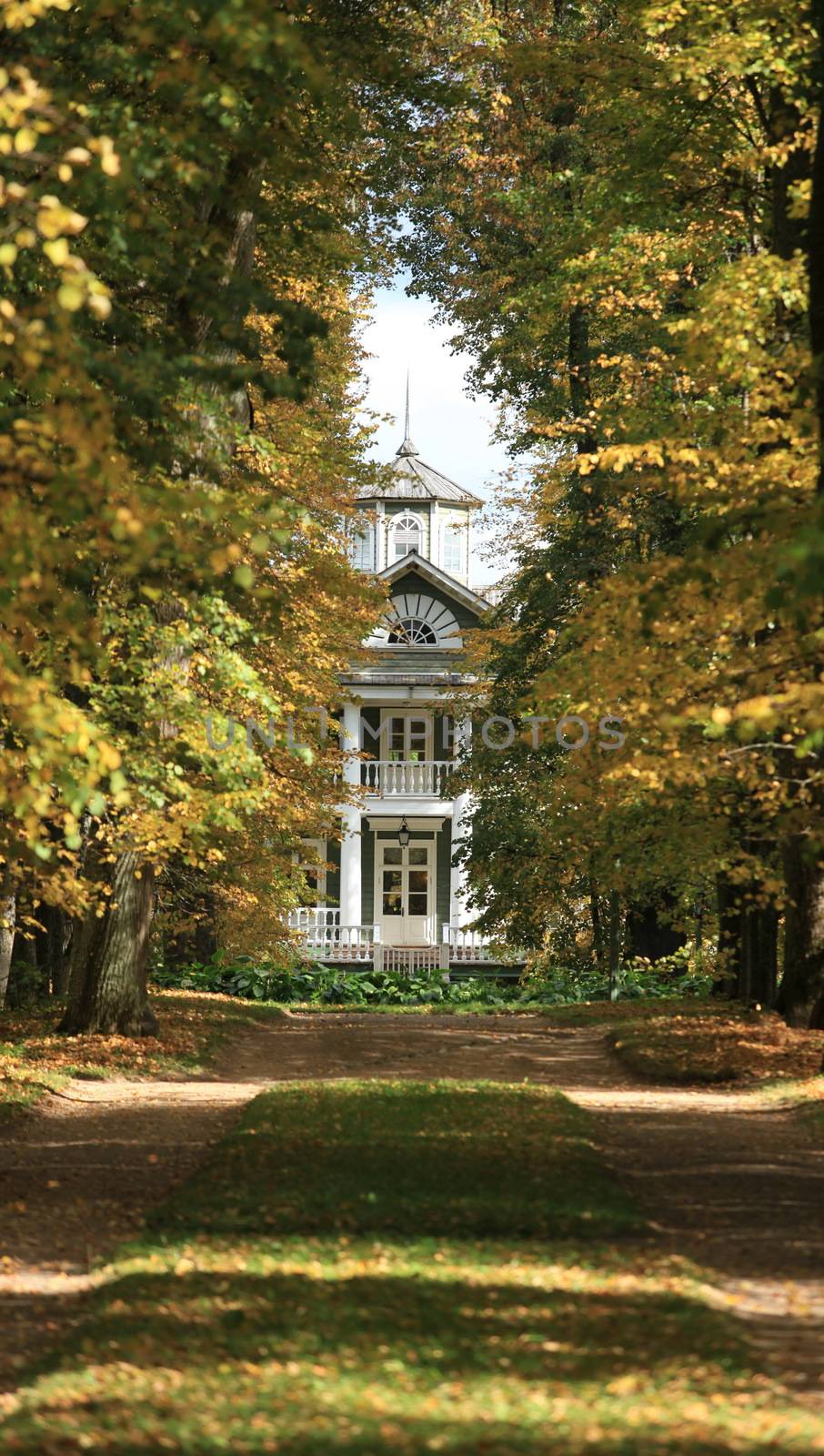 shaded walkway to the house in the autumn perspective