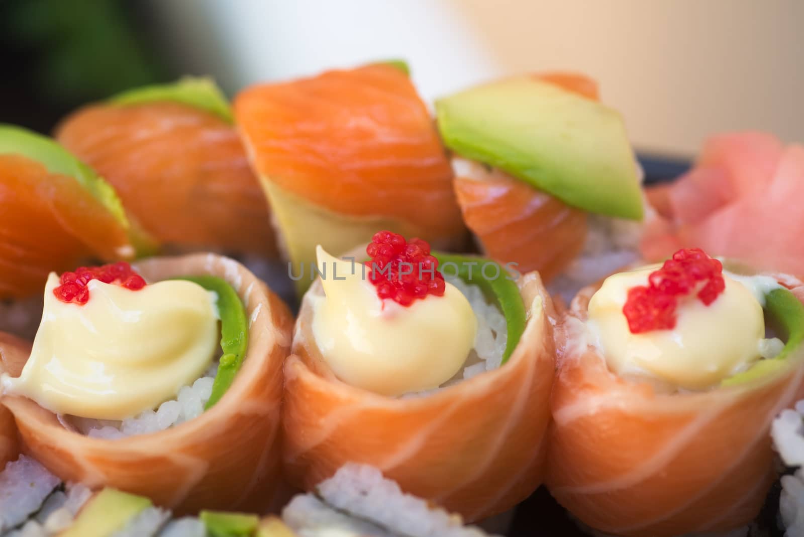 Set of sushi with salmon and avocado, sushi menu macro photo