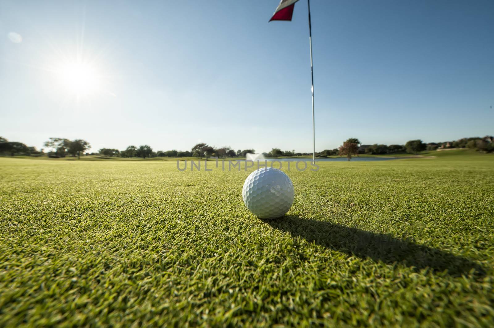 Image of a Golf ball on green shot from a low angle and close to flag