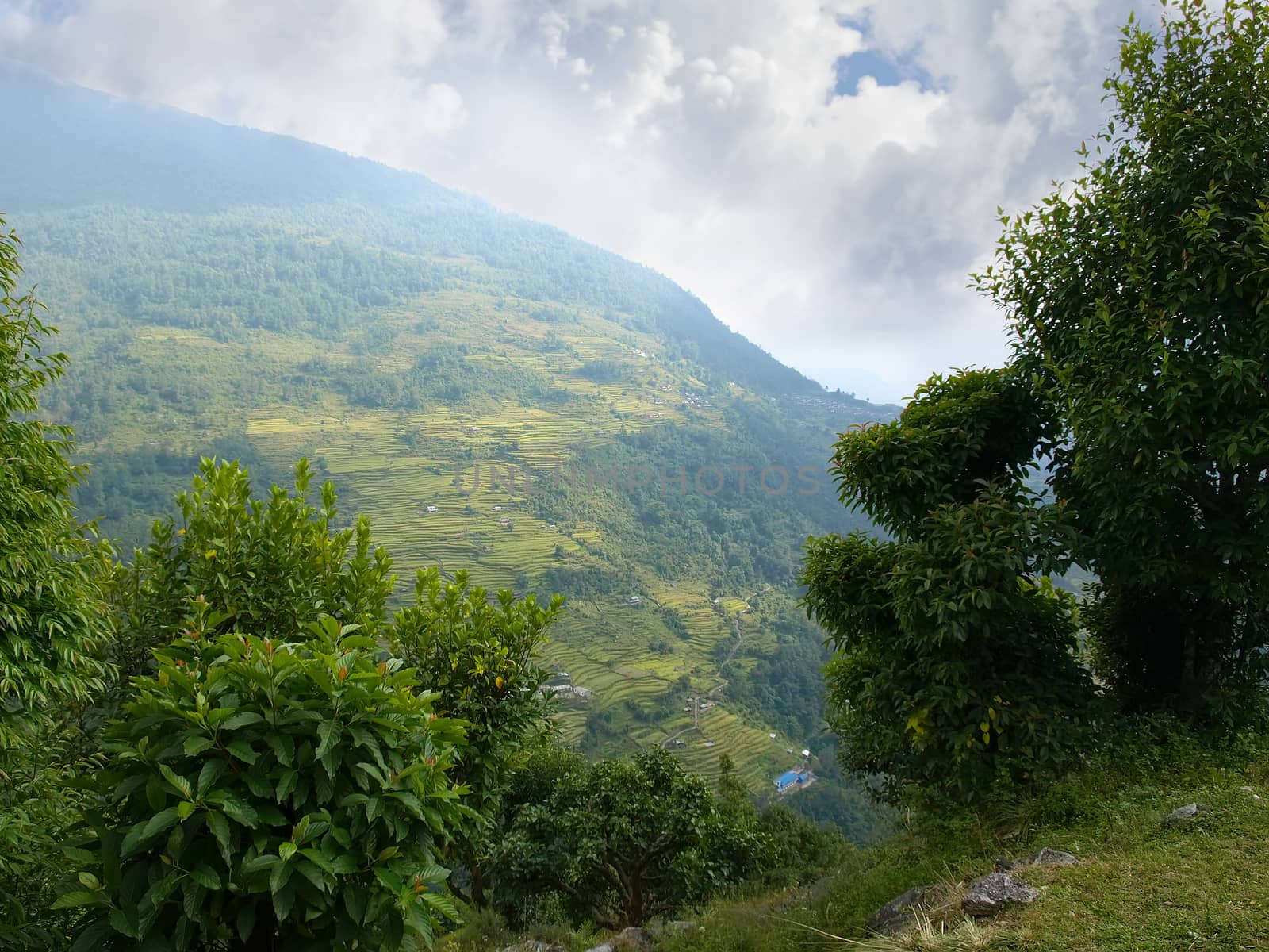 Top view of the mountain valley with mountain village and terraced fields on the slope in the Himalayas
