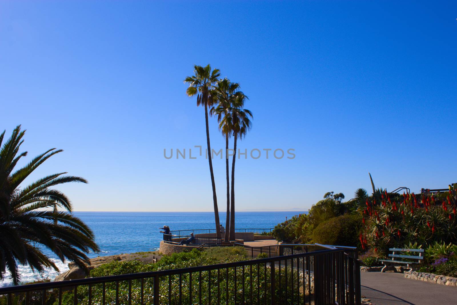 laguna beach coastal view, Los Angeles. Beautiful view of the coast