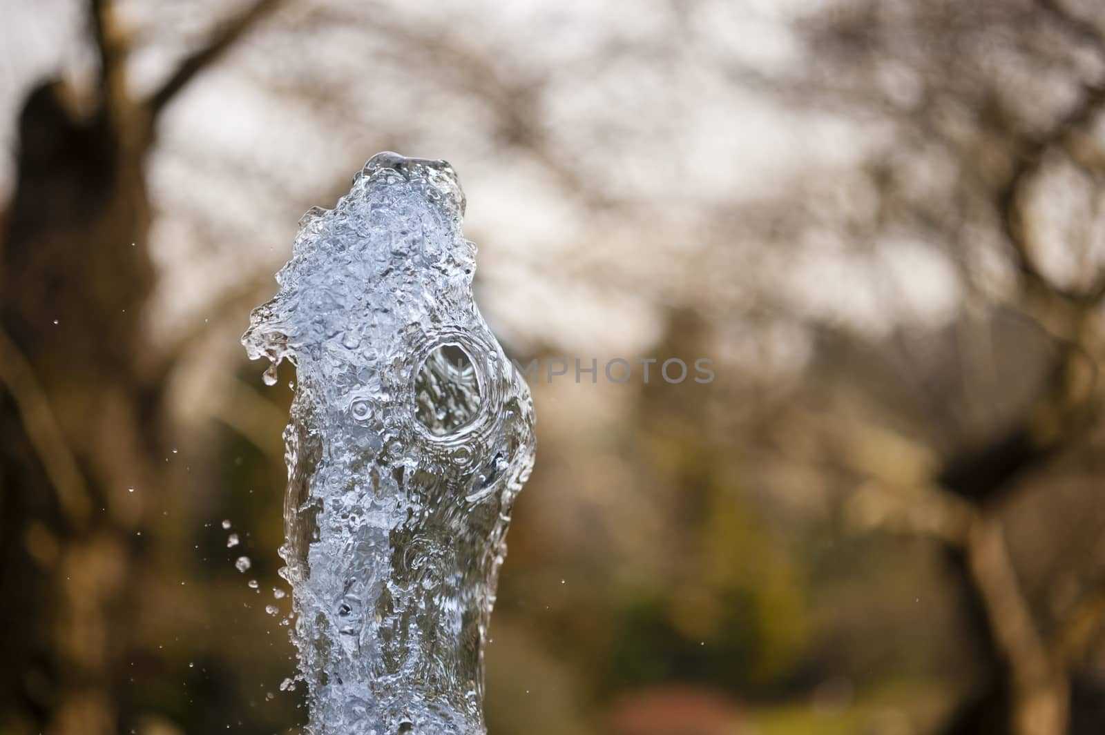 Ornamental fountain water gush. by AlessandroZocc