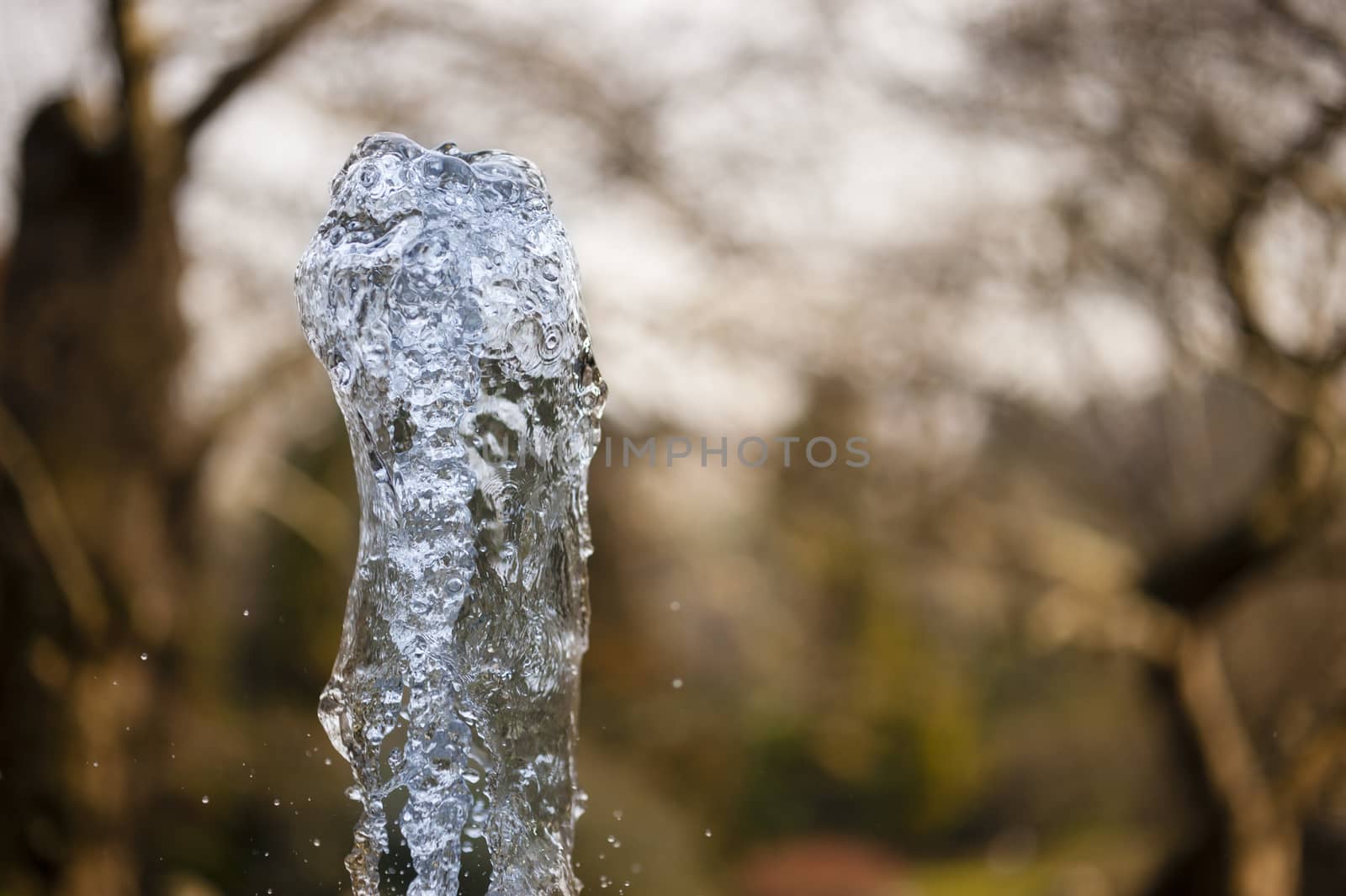 Close up of ornamental fountain water gush.