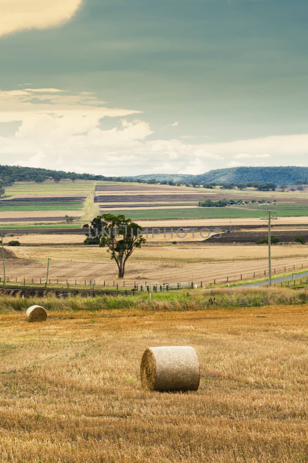 Outback agricultural and farming field by artistrobd
