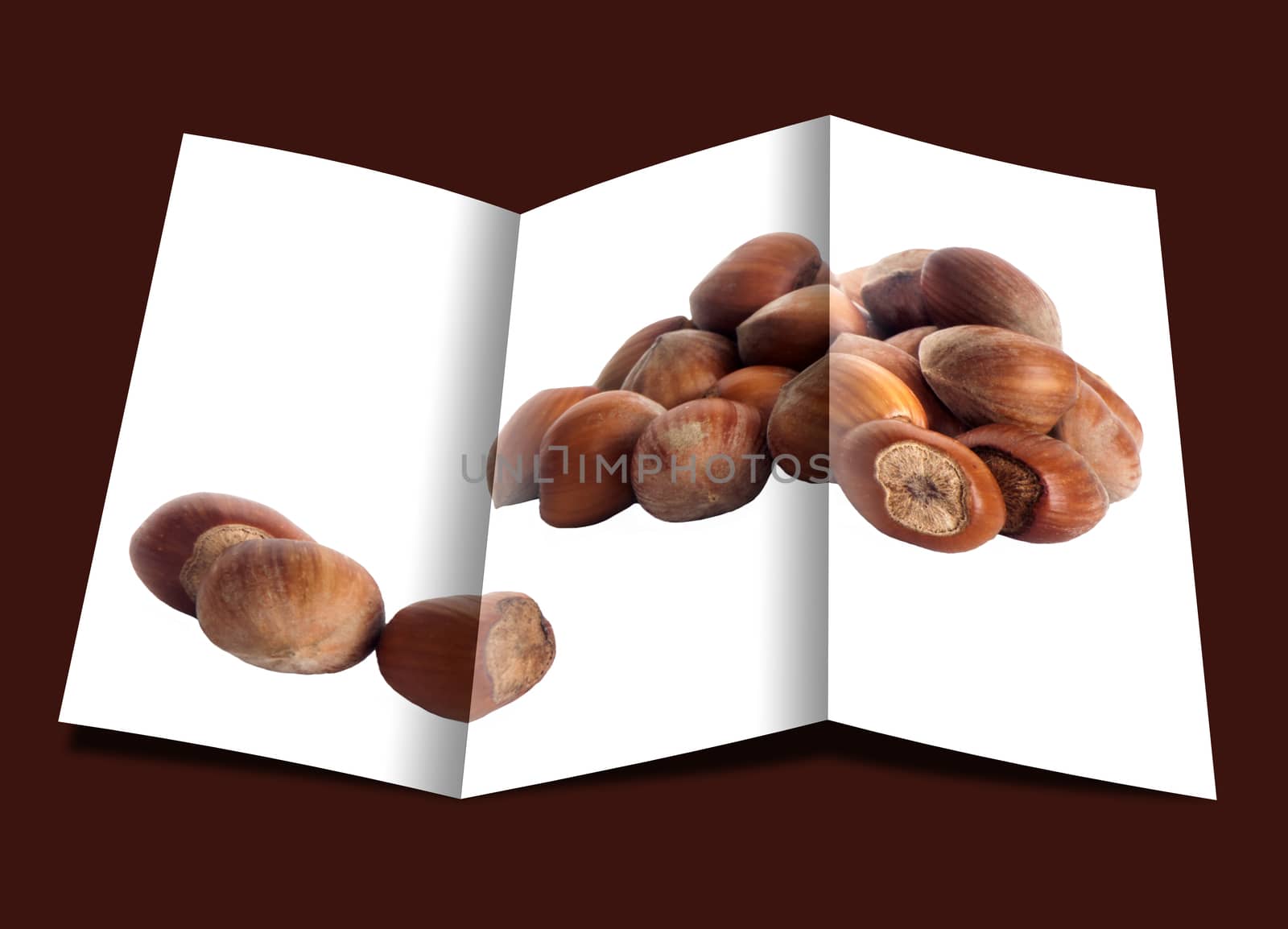 brochure of some hazelnuts placed over a white background