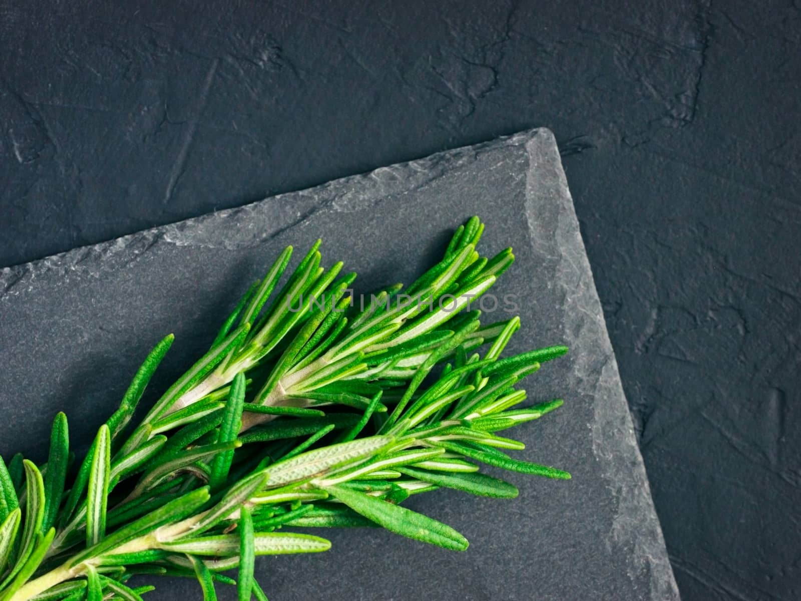 Fresh rosemary herbs on black background with copy space. Culinary healthy aromatic spicy herbs