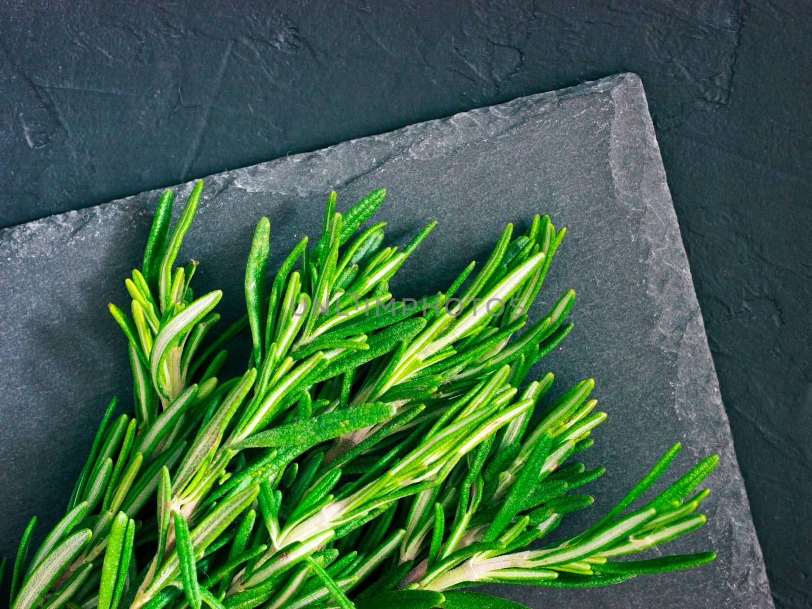 Fresh rosemary herbs on black background with copy space. Culinary healthy aromatic spicy herbs