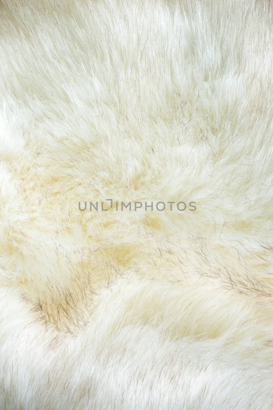 white artificial fur texture by antpkr