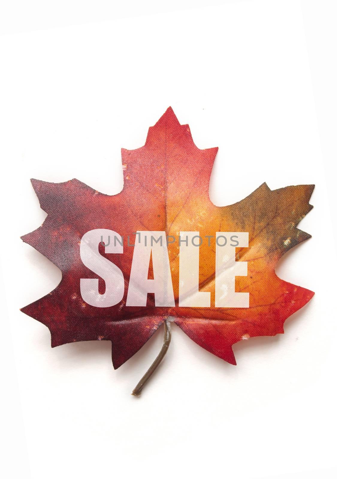 Autumn sale leaf over a white background