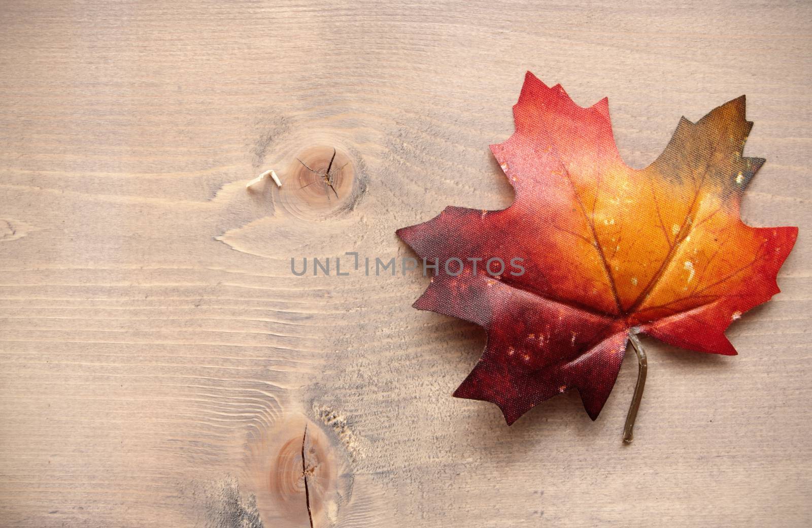 Autumn leaves on top of a wooden background with space