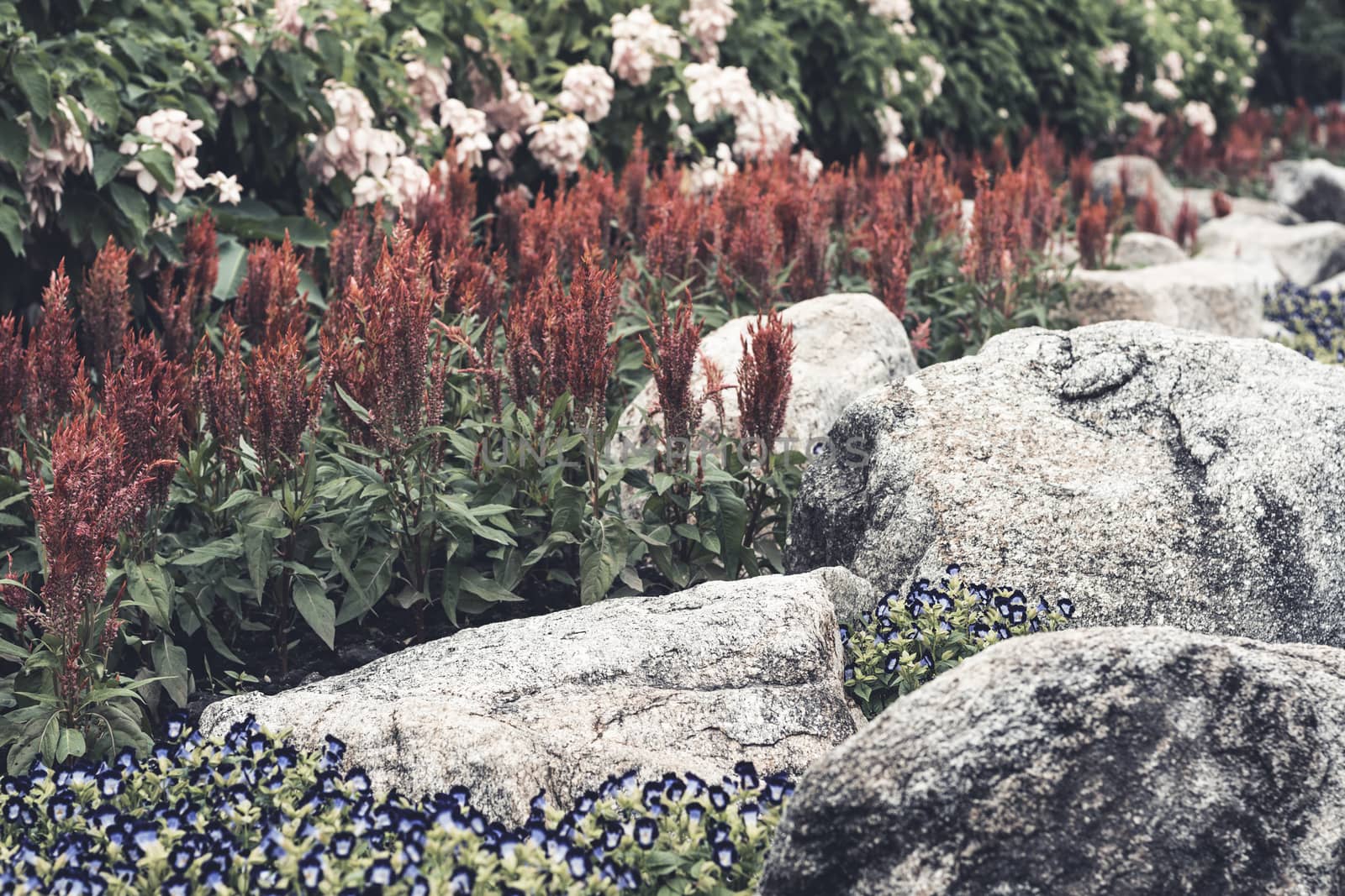 Selective focus flowers background. by ahimaone