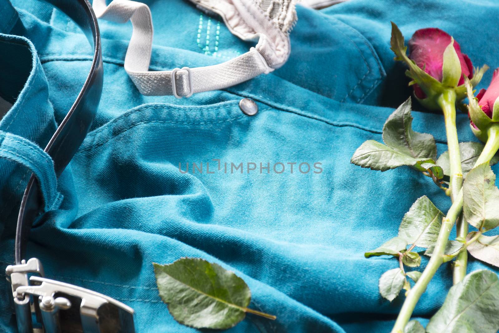 Underwear  with roses on pants with belt.Sex or story valentine day.Close up2 by engphoto