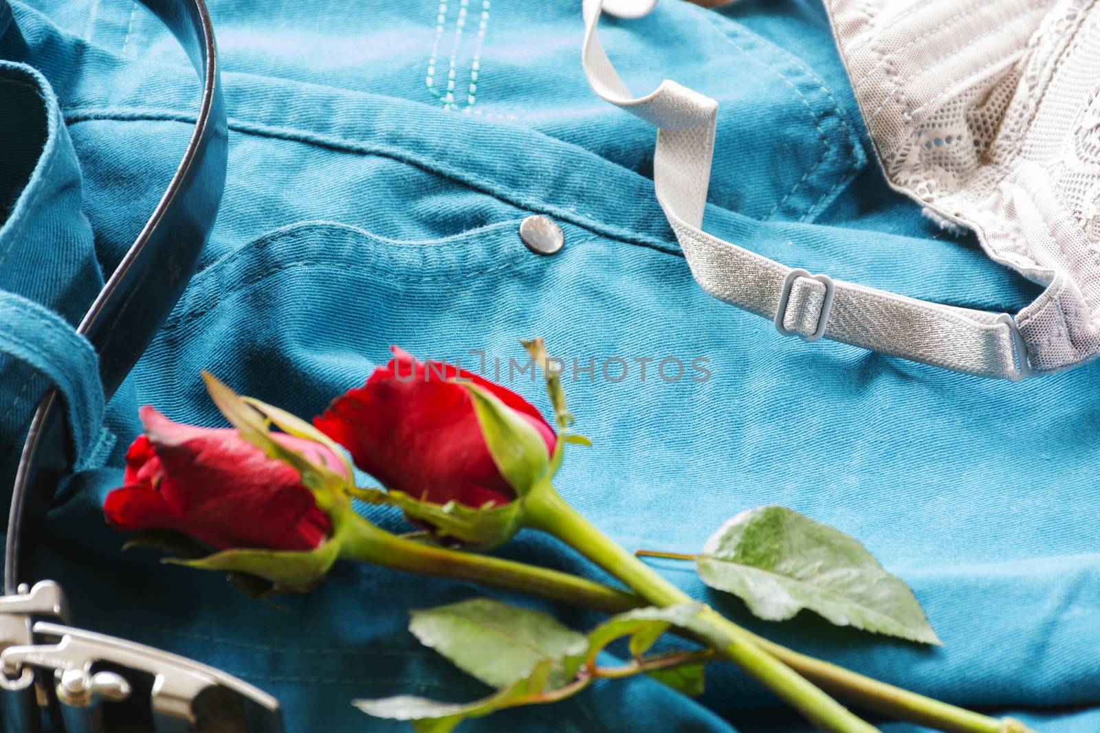 Underwear  with roses on pants with belt.Sex or story valentine day.Close up