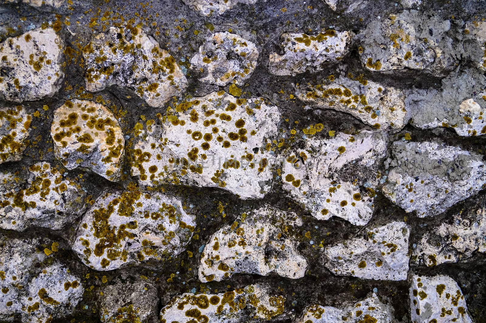 background abstraction of the walls of stone by Oleczka11