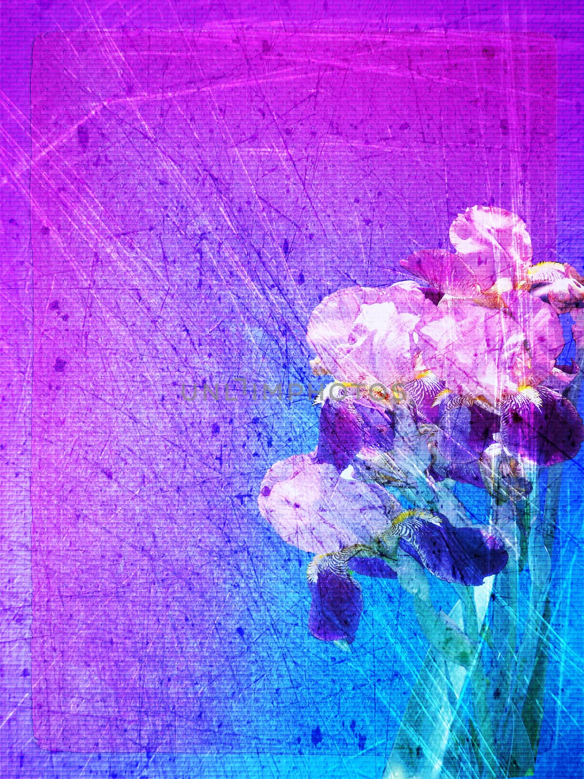 design. flowers. background by elena_vz