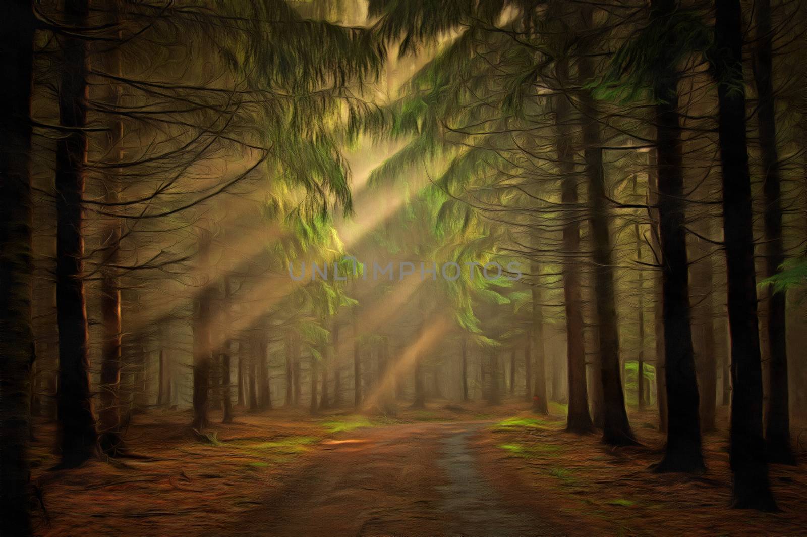 Image of the coniferous forest in the early morning - sun beams in fog haze