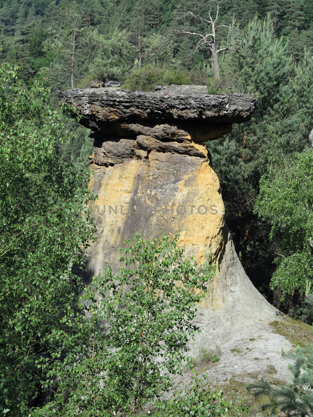 Bizarre sandstone rock formation in the forest - capstone