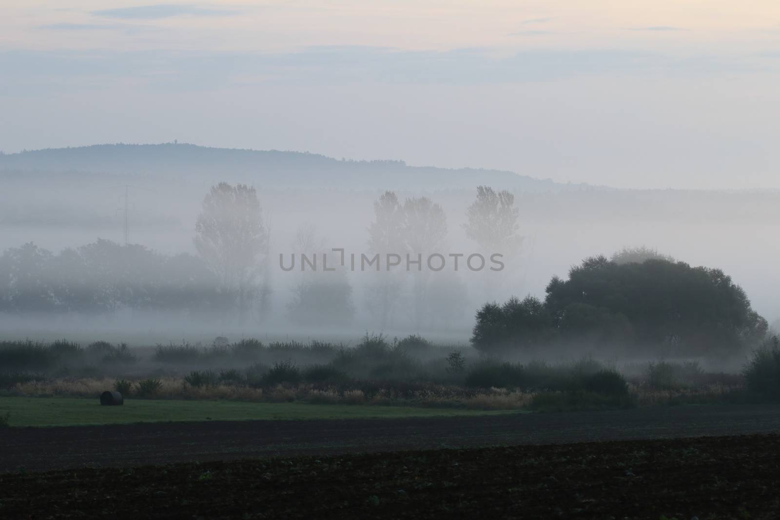 Rural landscape in morning fog by Mibuch