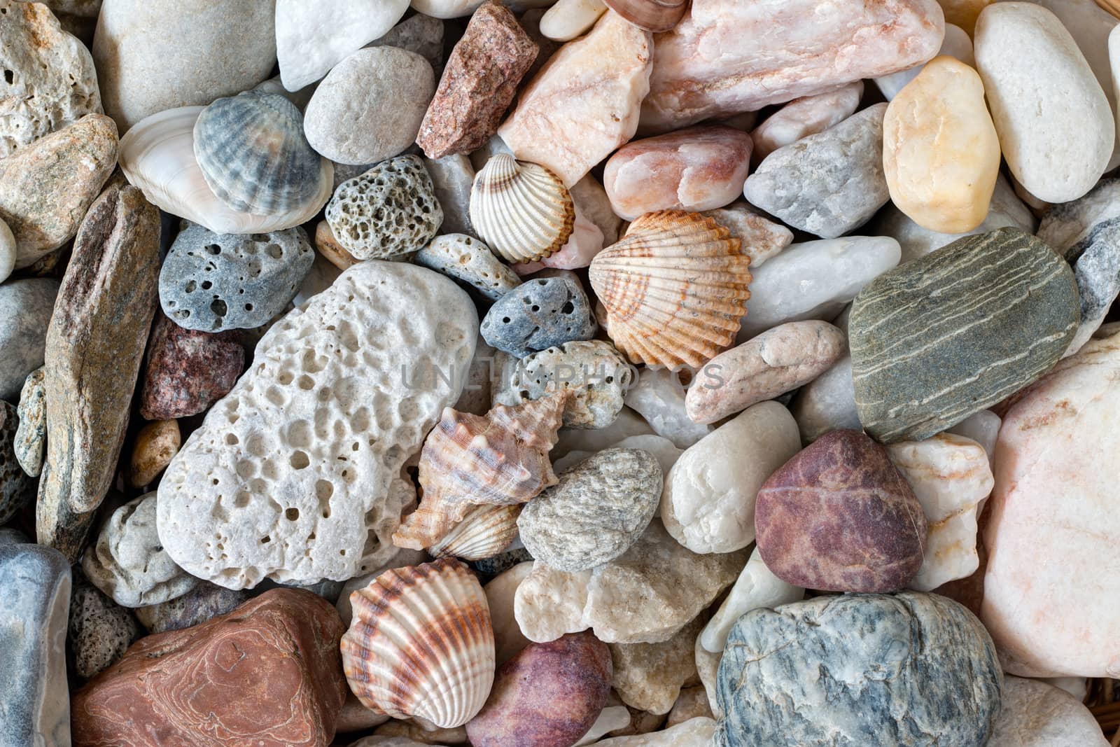 Detail of the pebble stones and scallops and shells