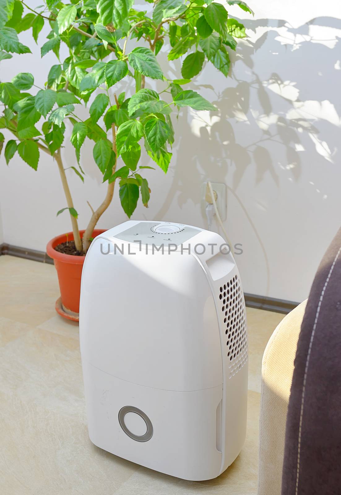 Portable dehumidifier colect water from air inside of living room
