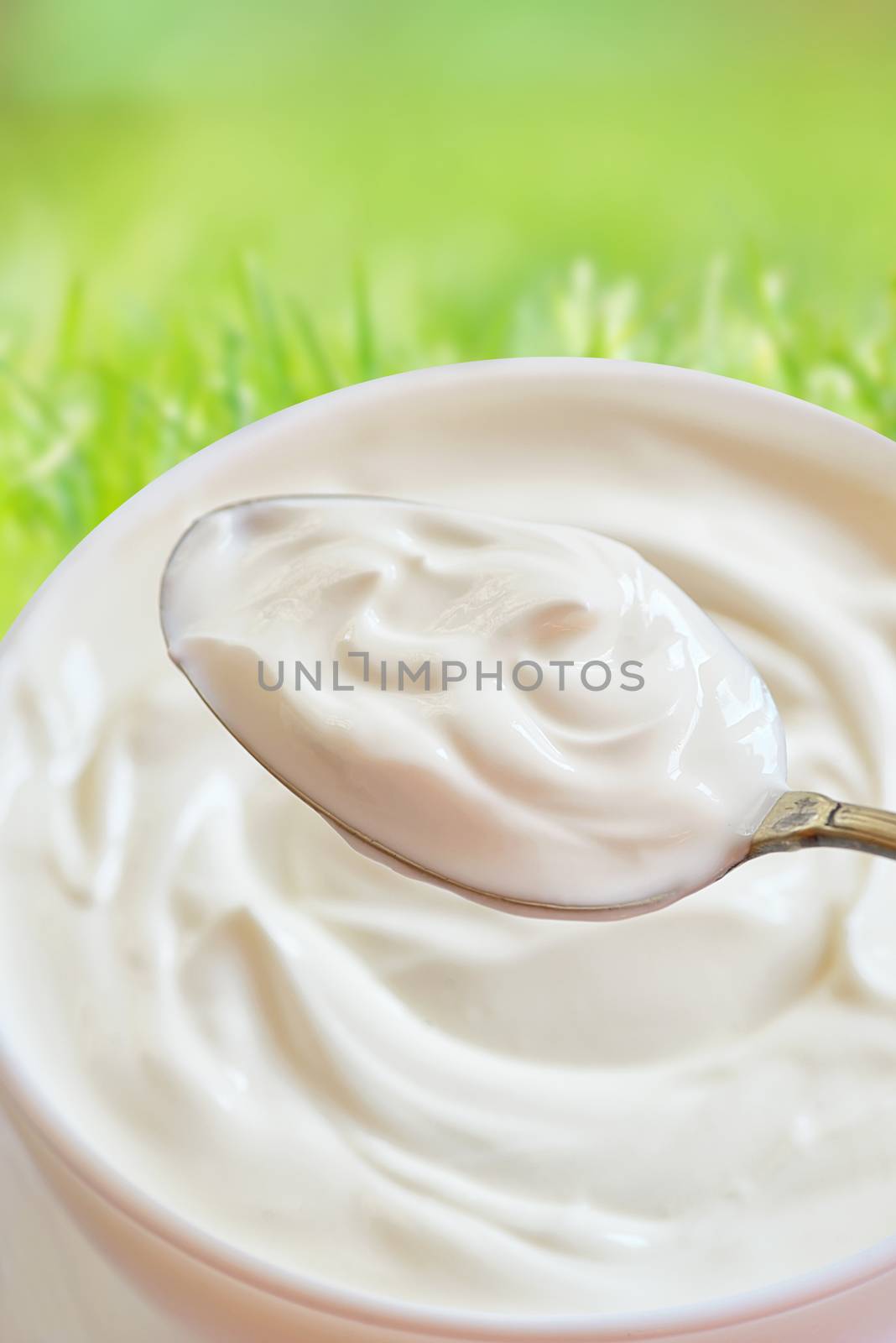 Ceramic bowl of white yoghurt in spoon