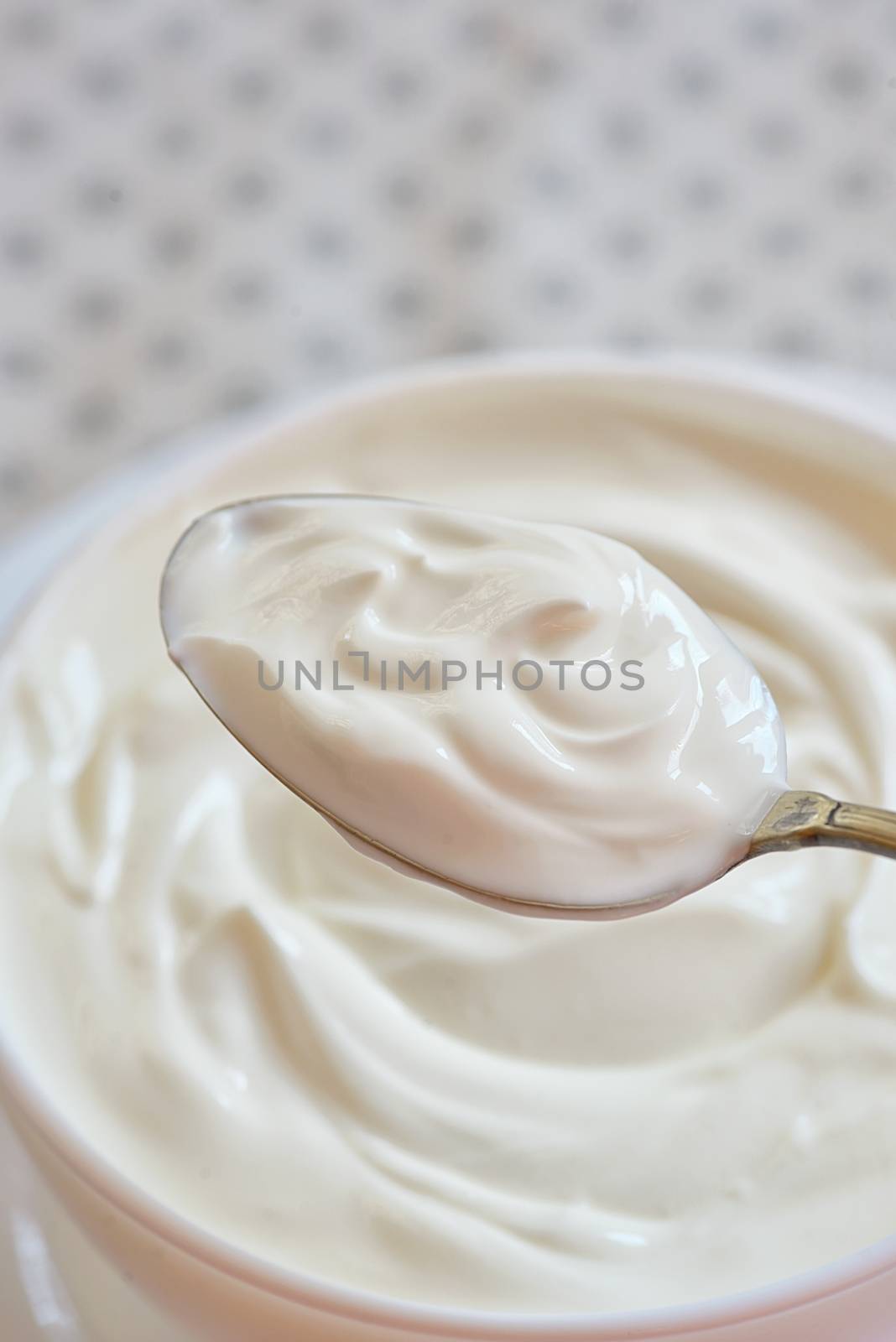 Ceramic bowl of white yoghurt in spoon