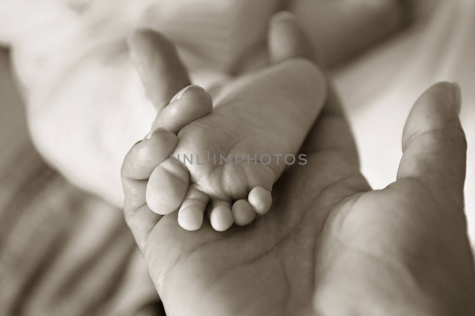 Parent hand hold baby girl legs