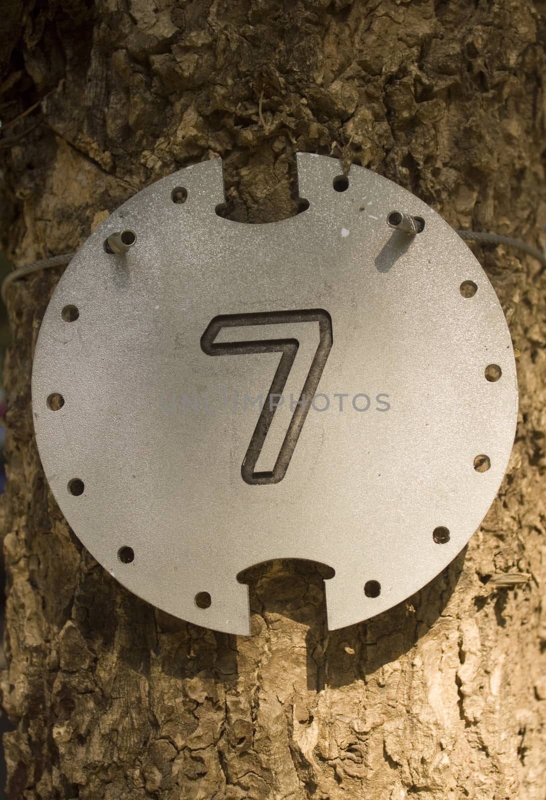 Plate number 7 on tree background