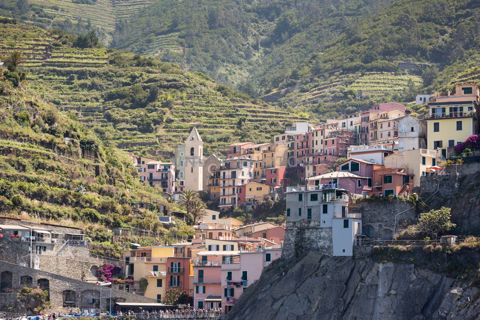 The village of Manarola of the Cinque Terre, on the Italian Riviera in the Liguria region of Italy