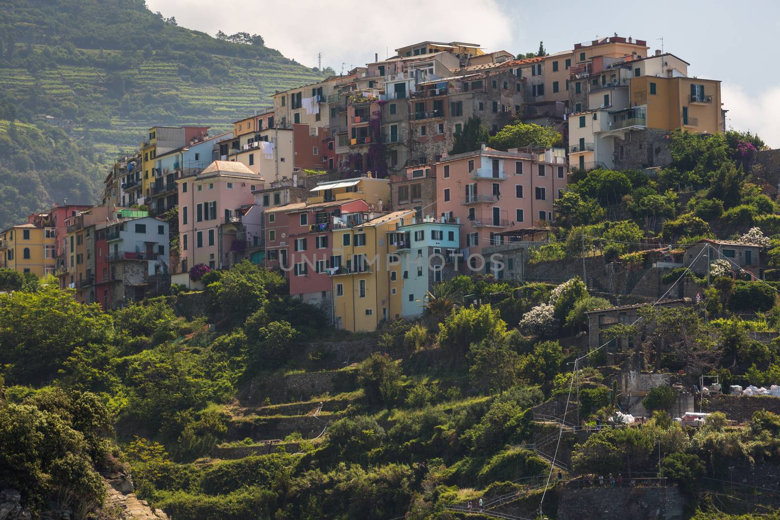 The village of Corniglia of the Cinque Terre by chrisukphoto