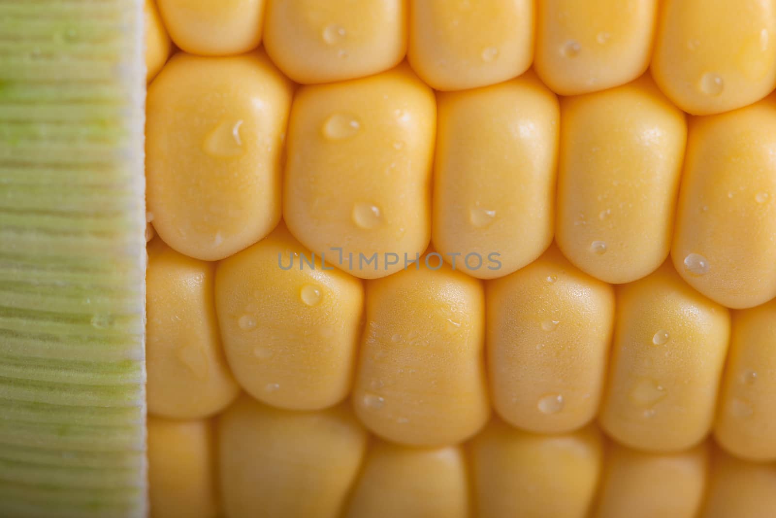 Pattern of fresh sweet ripe juicy corn