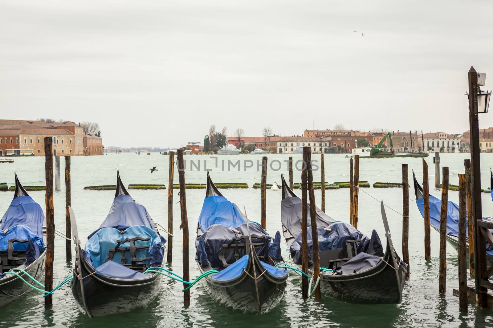 Gondola in venice in Italy by juniart