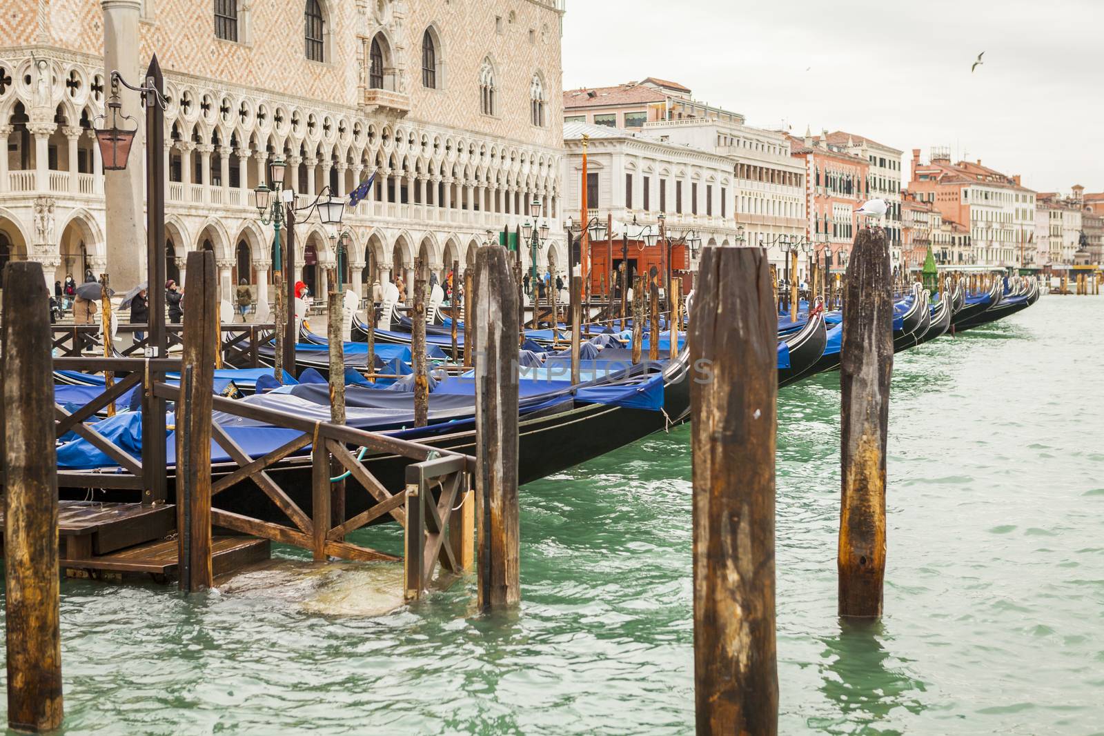 Gondola in venice in Italy by juniart