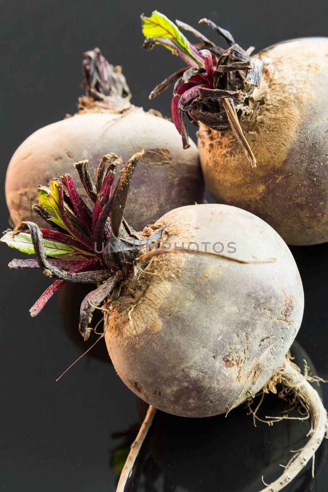 Three farm fresh whole raw beetroot in a close up view on a black surface in a healthy diet or vegetarian concept