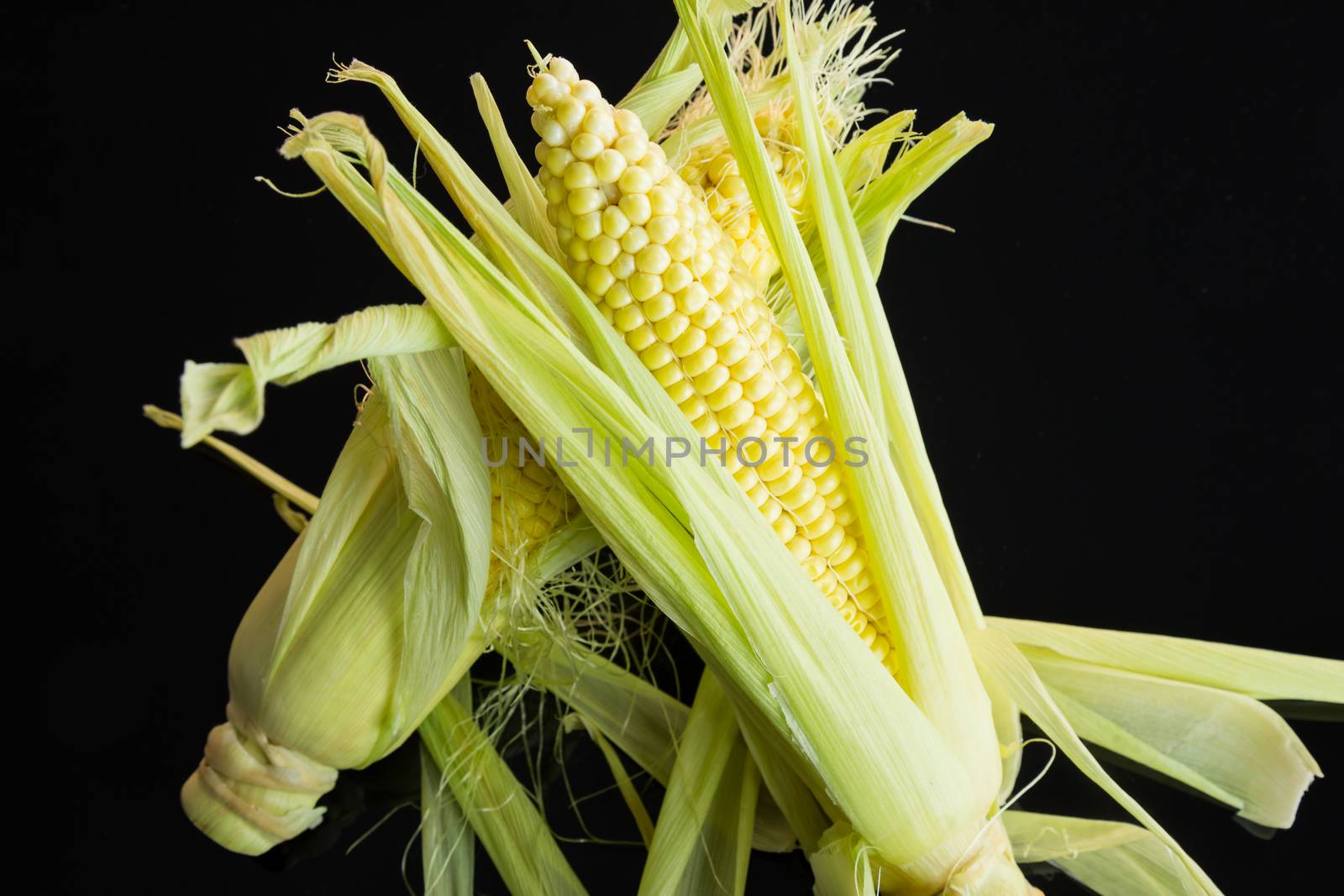 Fresh corn on the cob over a black background by juniart