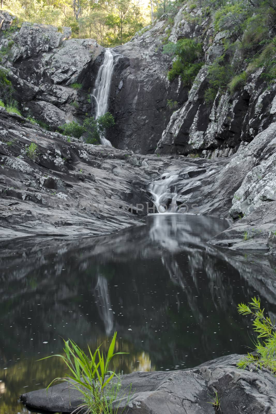 Cedar Creek Falls in Mount Tamborine by artistrobd