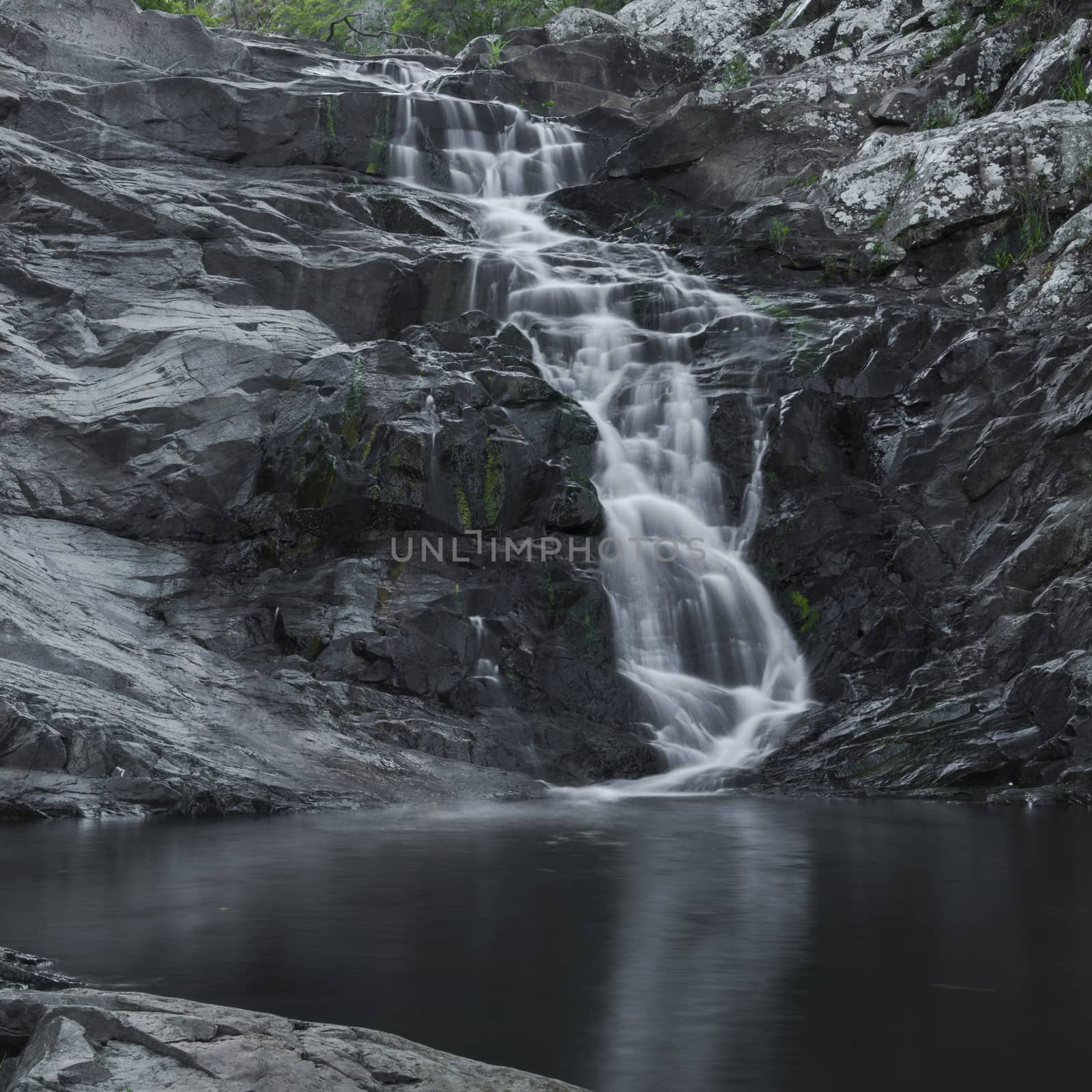 Cedar Creek waterfall in Mount Tambourine, Queensland.