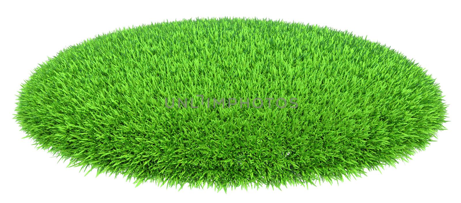 Grass arena isolated on white background by cherezoff