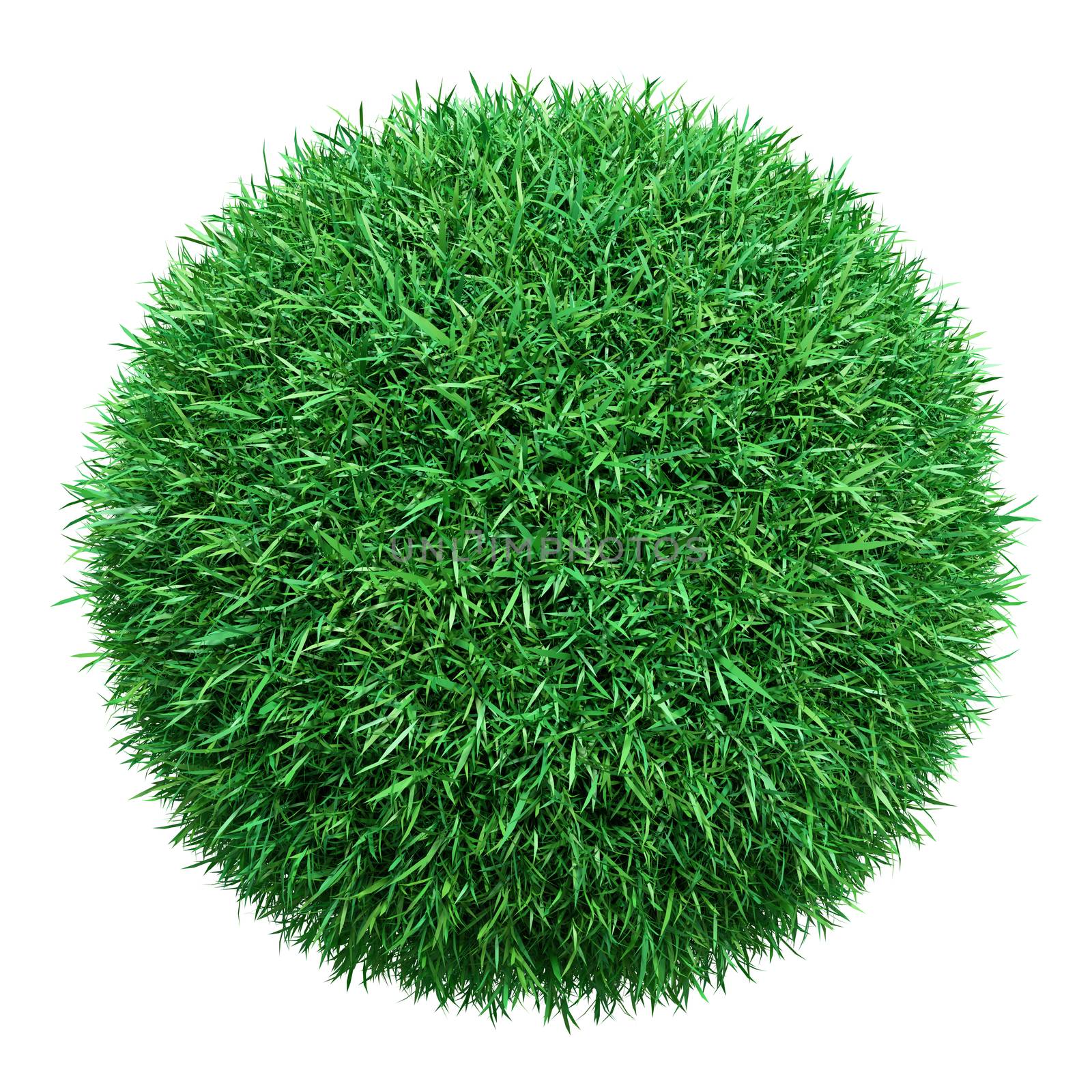 Green grass ball. Isolated on white. 3D illustration
