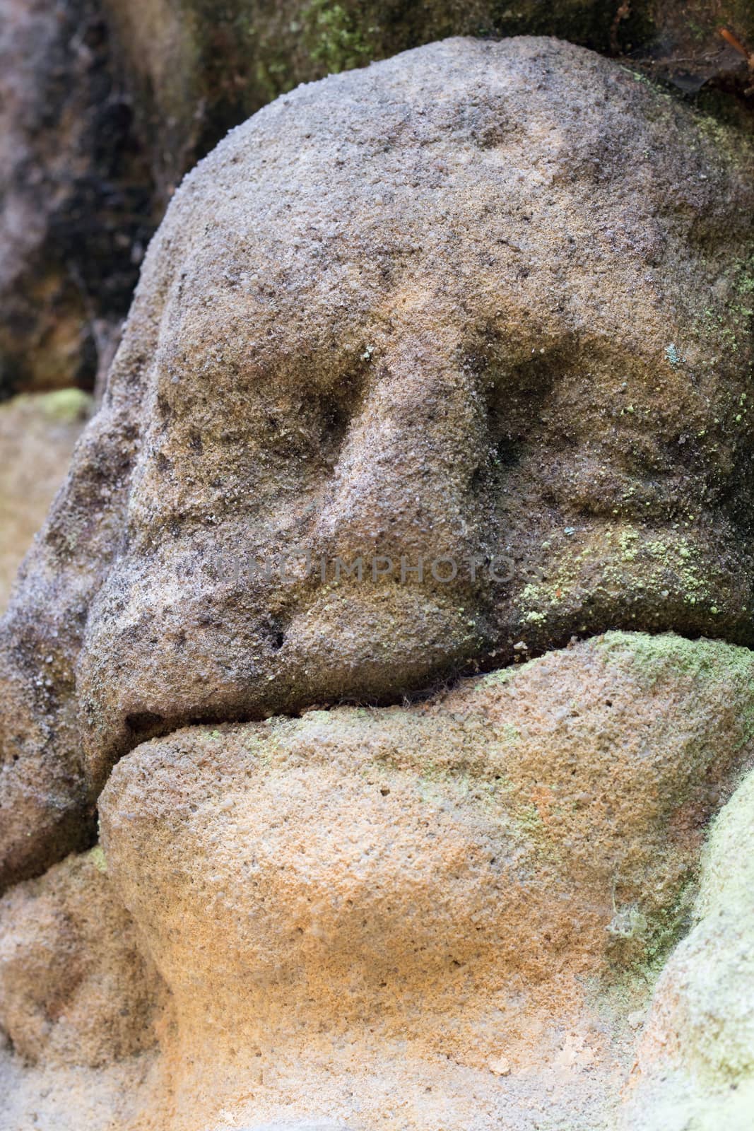 Detail of thestone head by Mibuch