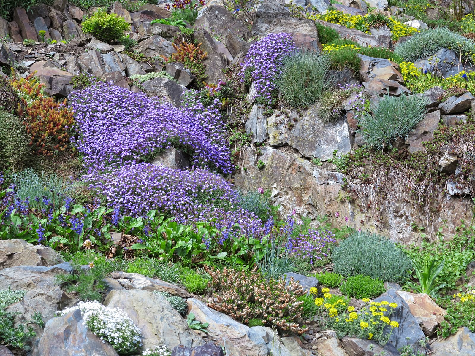 Rock garden with various flowers by Mibuch