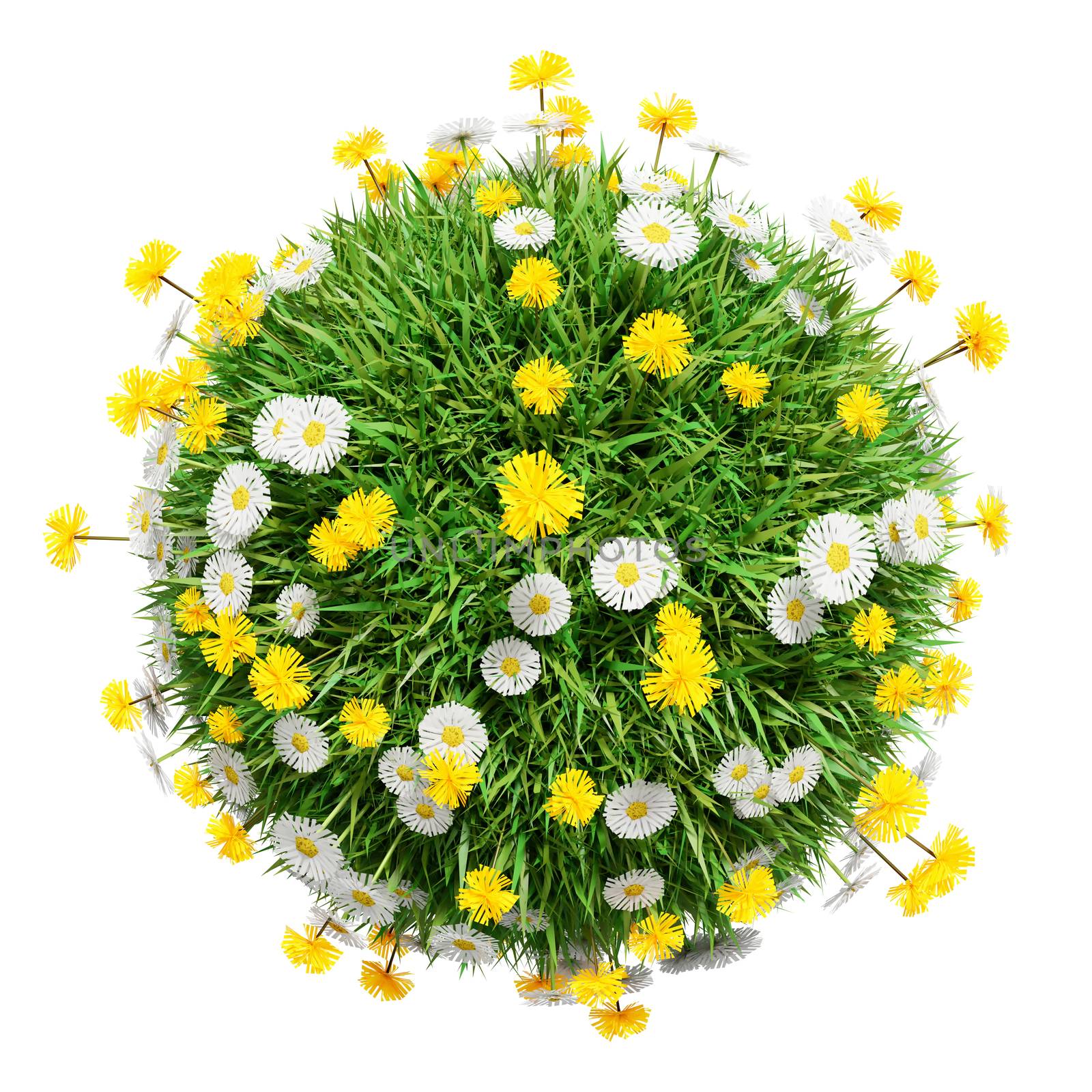 Green grass sphere with flowers, isolated on a white background. The symbol of spring, environment, growth and nature. 3D illustration