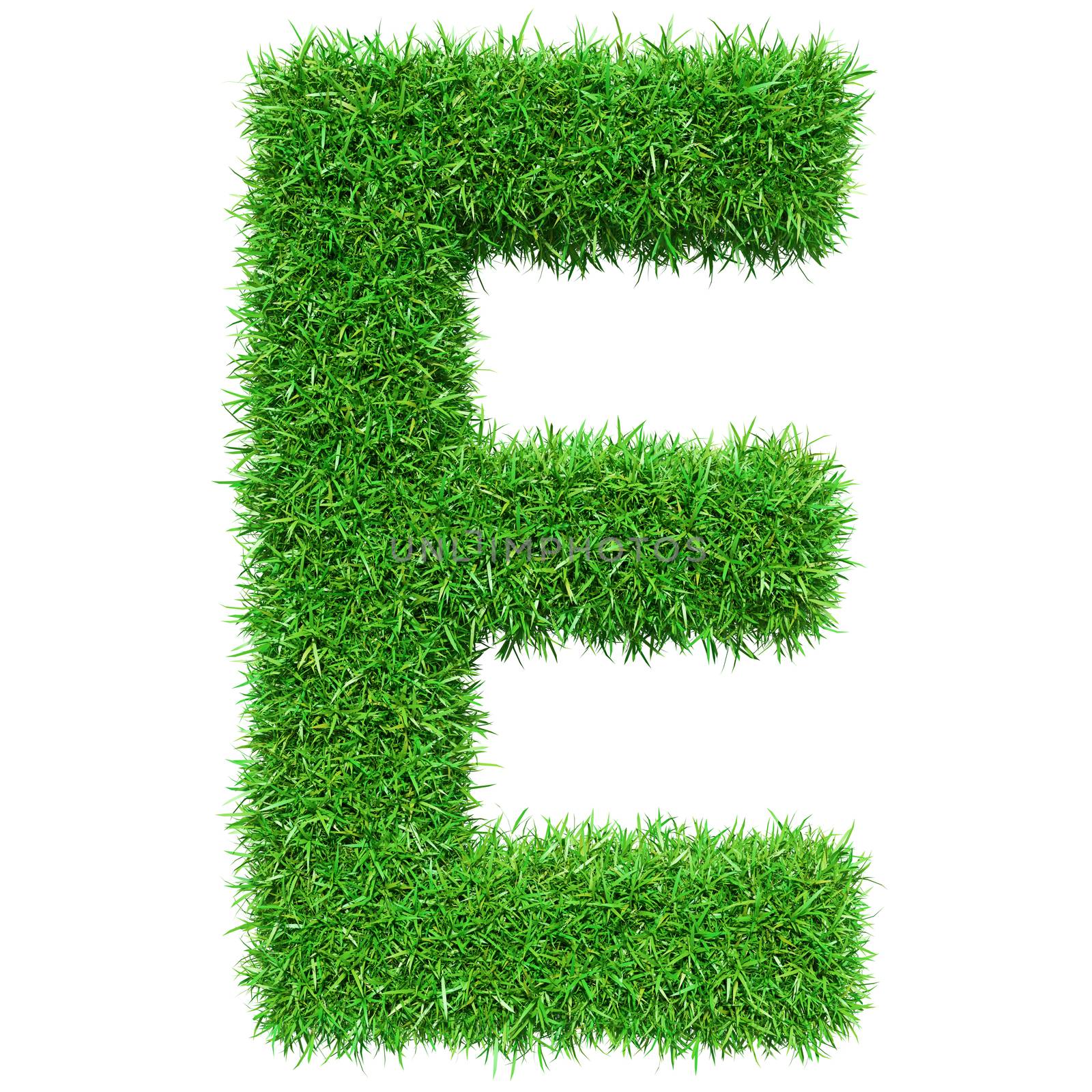 Green Grass Letter E by cherezoff