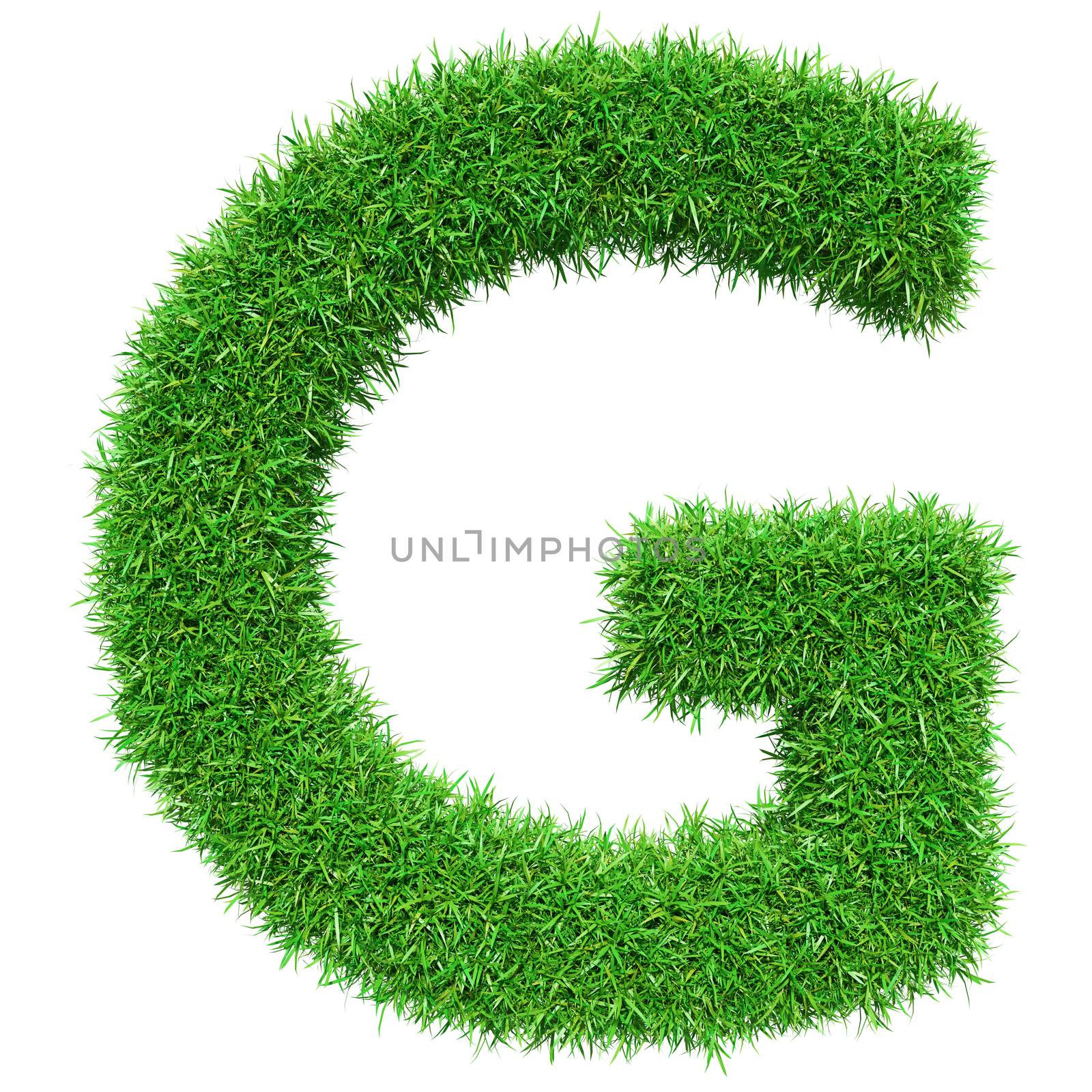 Green Grass Letter G. Isolated On White Background. Font For Your Design. 3D Illustration